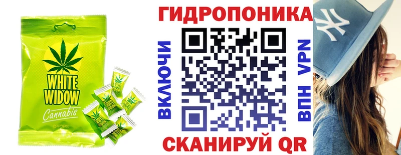Canna-Cookies конопля  omg зеркало  Большой Камень  купить закладку 