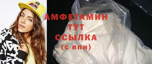 СК Пересвет
