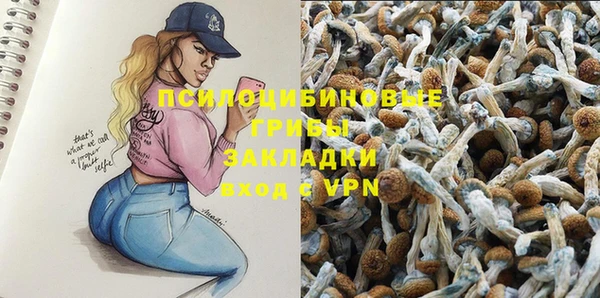 синтетический гашиш Переславль-Залесский