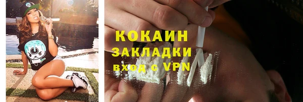дмт Пестово