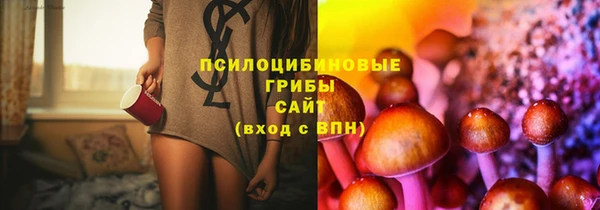 СК Пересвет