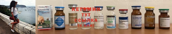 шишки Вязьма