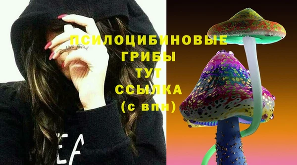 синтетический гашиш Переславль-Залесский