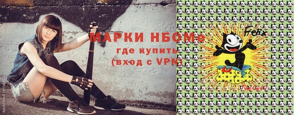 дмт Пестово