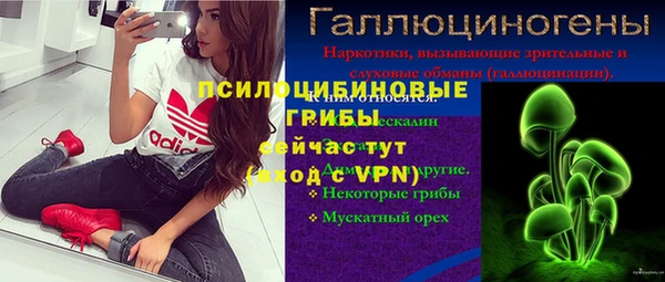 СК Пересвет
