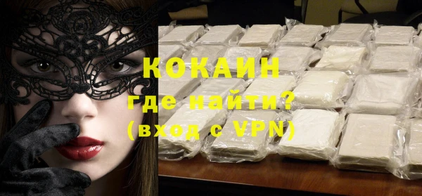 СК Пересвет