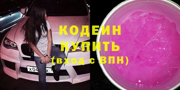 СК Пересвет