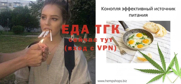 СК Пересвет