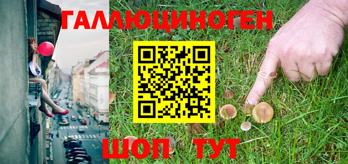 Галлюциногенные грибы Psilocybine cubensis Большой Камень