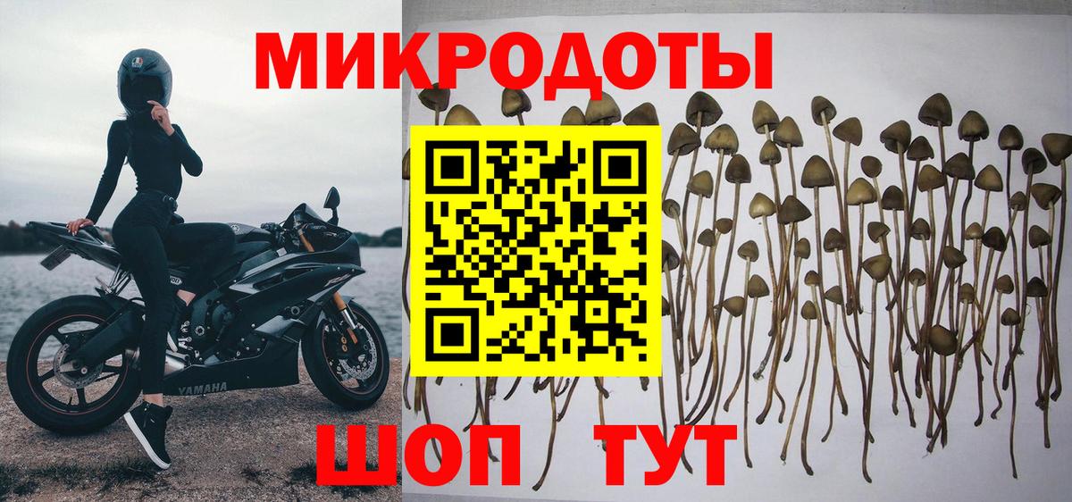 Псилоцибиновые грибы мухоморы  Вход с VPN  Большой Камень 