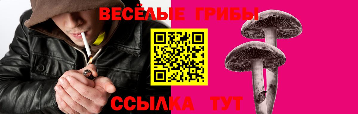 Псилоцибиновые грибы Psilocybine cubensis Большой Камень