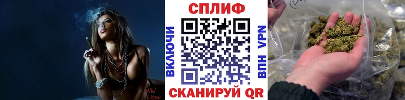 Конопля сатива сколько стоит Большой Камень